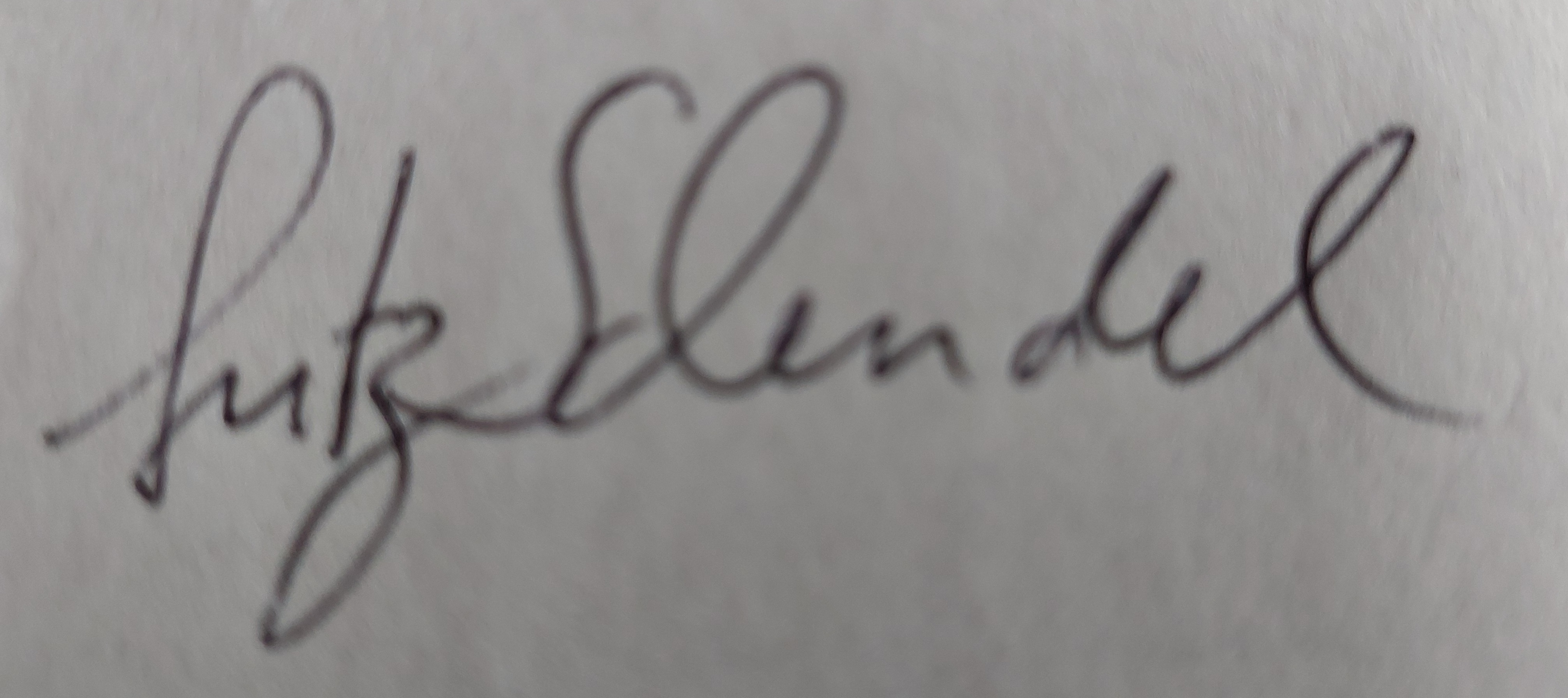 Unterschrift (eingescannt)