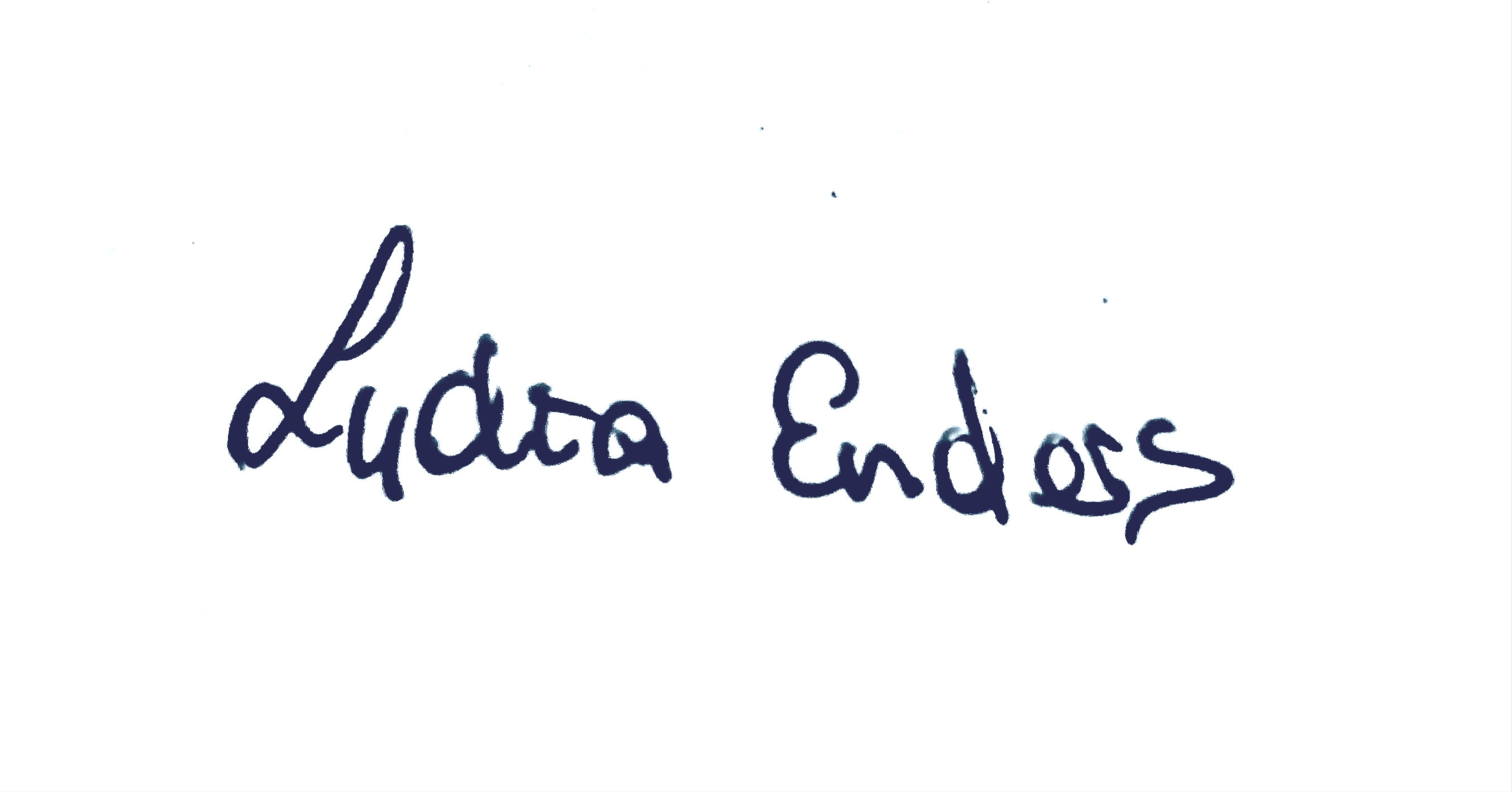 Unterschrift (eingescannt)